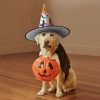 Mexican Otomi Animals Print Halloween Witch Hat Halloween Costume Witches Hats For Women Cosplay Party Accessory-1pcs