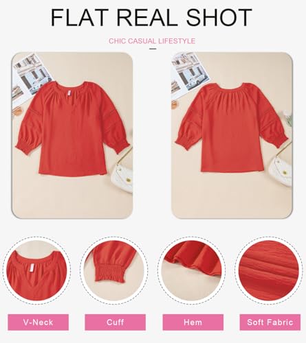 Womens 3/4 Sleeve Tops Pleated Business Casual Outifits V Neck Blouses Office Loose Shirts