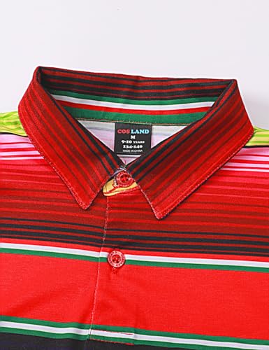 Boys' Holiday Polo Shirt Casual Clothes, X-Small-Large